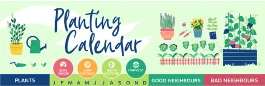 What to plant when: garden calendar 🍆