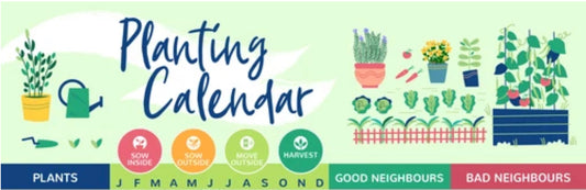 What to plant when: garden calendar 🍆