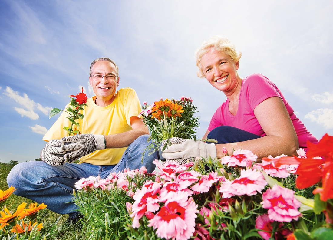 mental health benefits of gardening