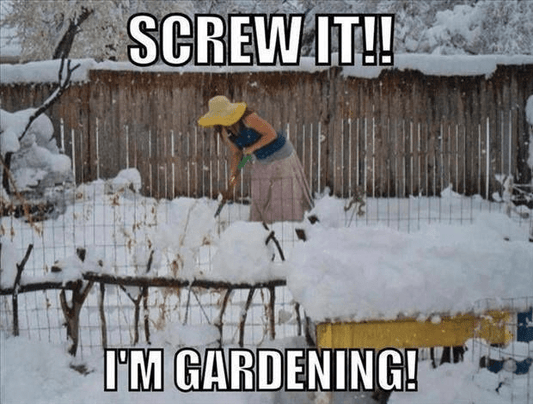 Gardening in january