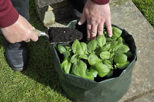 plant growing bags veggie grow bags