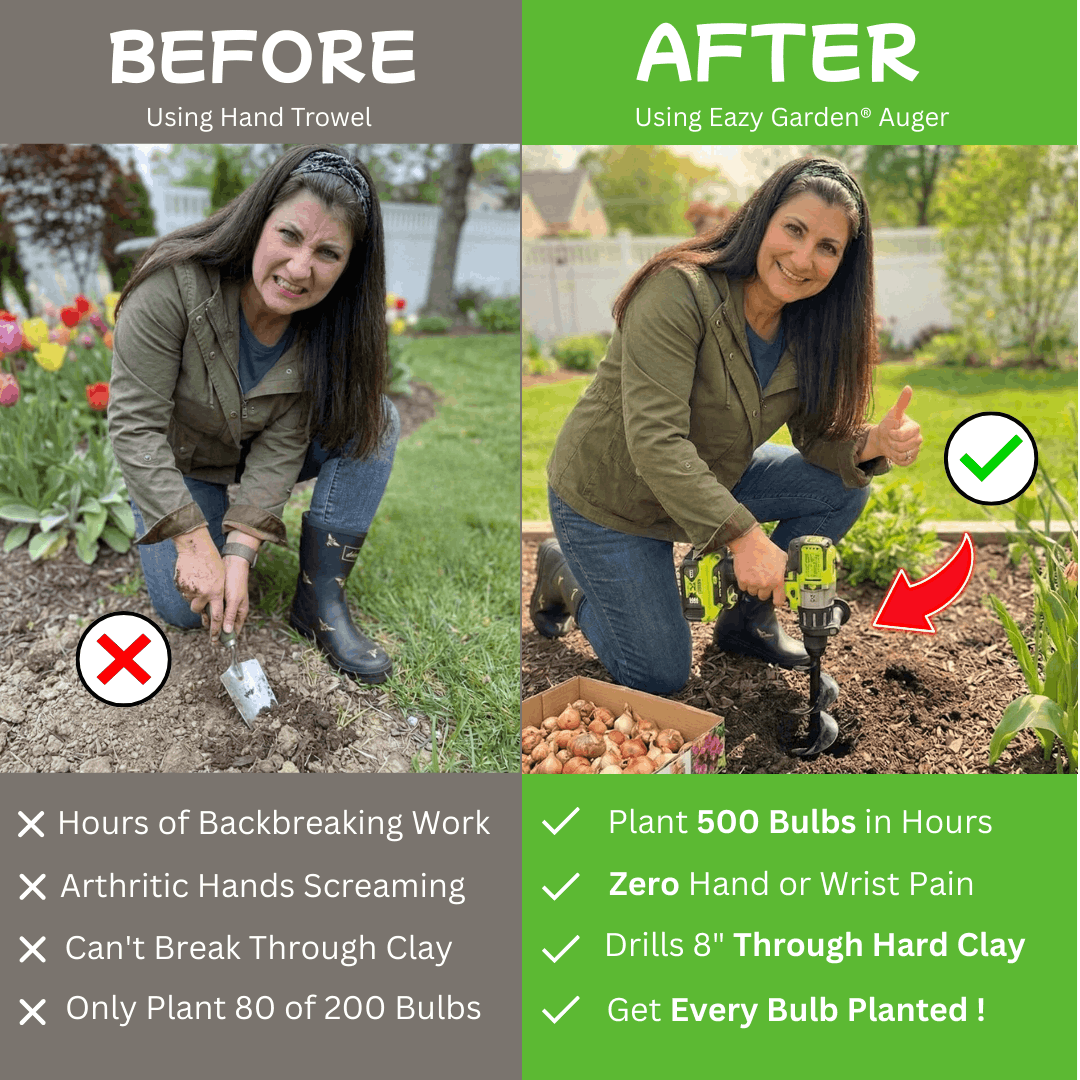 Before and after comparison of using a hand trowel versus Ezy Garden Auger for gardening tasks.