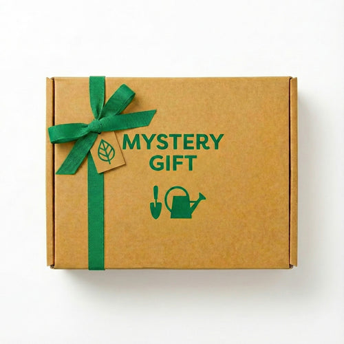 Mystery Gift