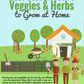 🎁 Guide de culture de légumes gratuit pour les débutants