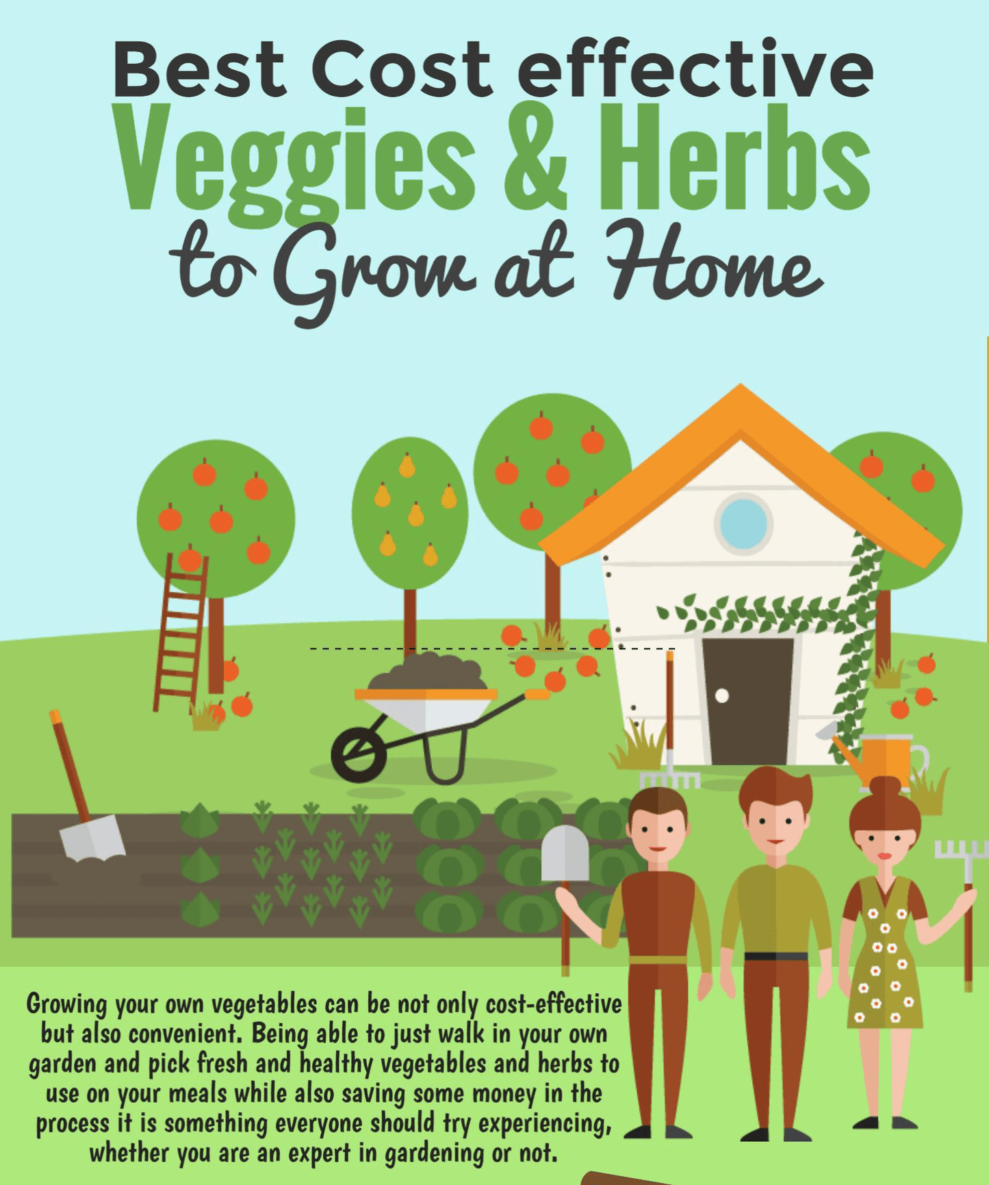 🎁 Free Vegetable Growing Guide For Beginners