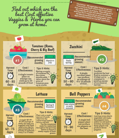 🎁 Guide de culture de légumes gratuit pour les débutants